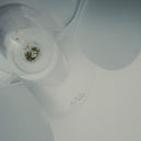 Dettaglio portalampada Ficus Autumn Spots Lampada da tavolo