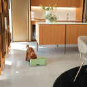 Kit alzaciotole e ciotole per gatti e cani | Bay Bis