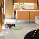 Kit alzaciotole e ciotole per gatti e cani | Bay Bis