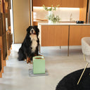 Kit alzaciotole e ciotole per cani | Bill Large