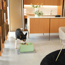 Kit alzaciotole e ciotole per cani | Bill Medium