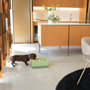 Kit alzaciotole e ciotole per cani | Bill Small