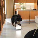 Kit alzaciotole e ciotole per cani | Bill Lux Large