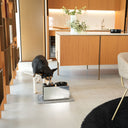 Kit alzaciotole e ciotole per cani | Bill Lux Medium