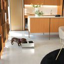 Kit alzaciotole e ciotole per cani | Bill Lux Small