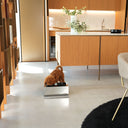 Kit alzaciotole e ciotole per cani | Bill Lux Small