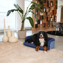 Salottino da interno per gatti e cani | Cozy Large