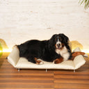 Salottino da esterno per gatti e cani | Lazy Large