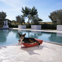 Salottino da esterno per gatti e cani | Lazy Medium