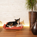 Salottino da esterno per gatti e cani | Lazy Medium